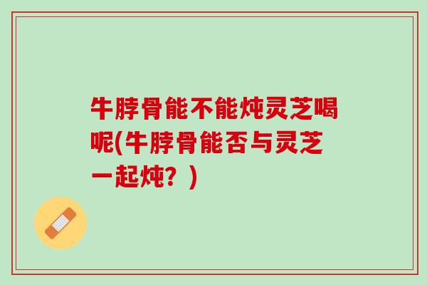 牛脖骨能不能炖灵芝喝呢(牛脖骨能否与灵芝一起炖？)