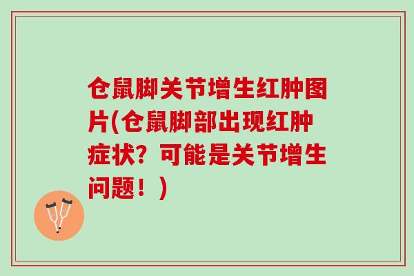 仓鼠脚关节增生红肿图片(仓鼠脚部出现红肿症状？可能是关节增生问题！)