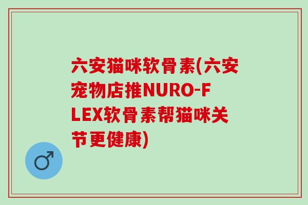 六安猫咪软骨素(六安宠物店推NURO-FLEX软骨素帮猫咪关节更健康)