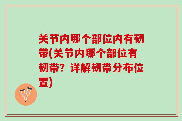 关节内哪个部位内有韧带(关节内哪个部位有韧带？详解韧带分布位置)