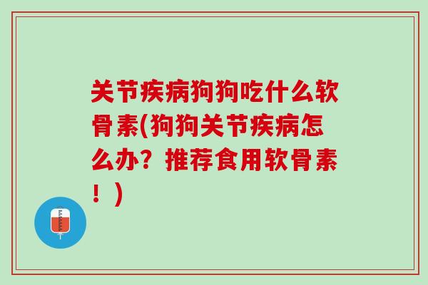关节疾病狗狗吃什么软骨素(狗狗关节疾病怎么办？推荐食用软骨素！)