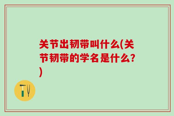 关节出韧带叫什么(关节韧带的学名是什么？)