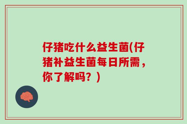 仔猪吃什么益生菌(仔猪补益生菌每日所需，你了解吗？)