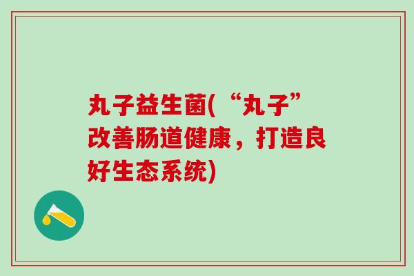 丸子益生菌(“丸子”改善肠道健康，打造良好生态系统)