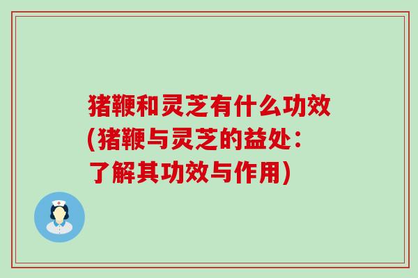 猪鞭和灵芝有什么功效(猪鞭与灵芝的益处：了解其功效与作用)