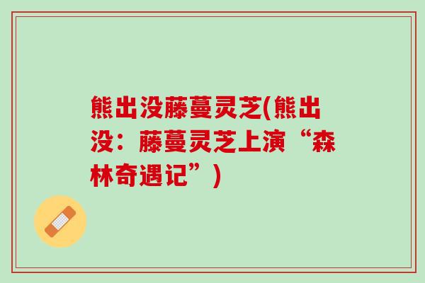 熊出没藤蔓灵芝(熊出没：藤蔓灵芝上演“森林奇遇记”)