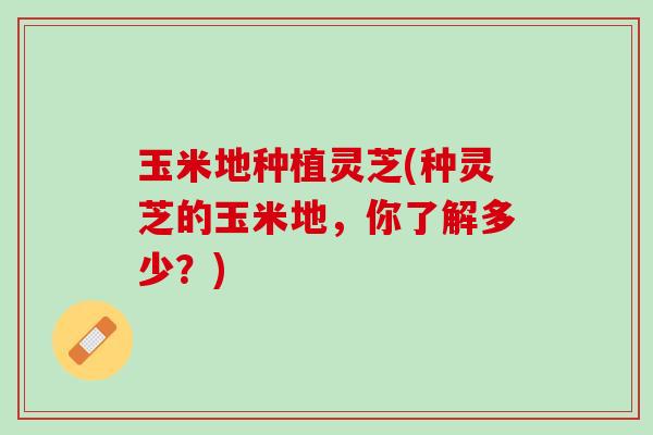 玉米地种植灵芝(种灵芝的玉米地，你了解多少？)