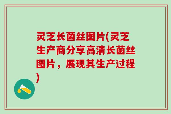 灵芝长菌丝图片(灵芝生产商分享高清长菌丝图片，展现其生产过程)