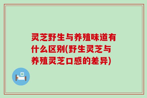 灵芝野生与养殖味道有什么区别(野生灵芝与养殖灵芝口感的差异)