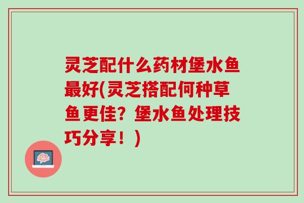 灵芝配什么药材堡水鱼好(灵芝搭配何种草鱼更佳?堡水鱼处理技巧分享!) 灵芝配什么药材堡水鱼好(灵芝搭配何种草鱼更佳?堡水鱼处理技巧分享!)
