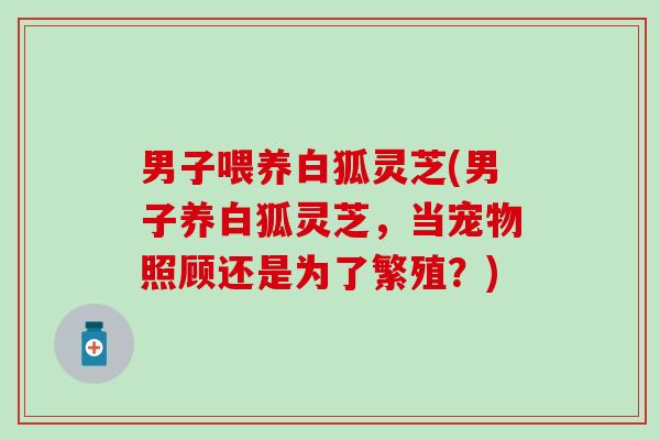 男子喂养白狐灵芝(男子养白狐灵芝，当宠物照顾还是为了繁殖？)