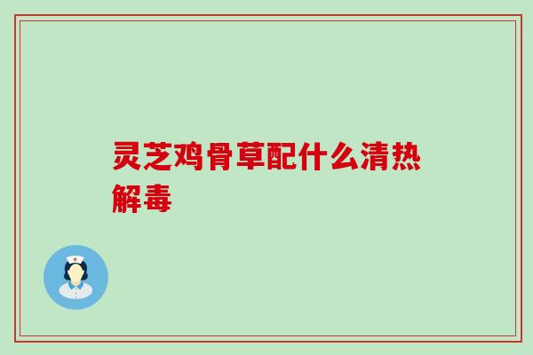 灵芝鸡骨草配什么清热解毒