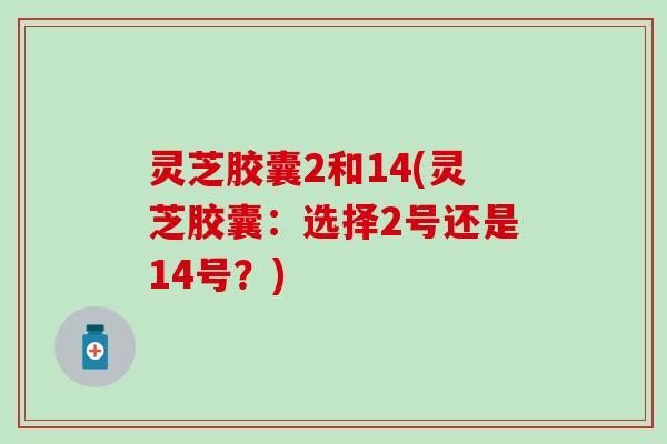 灵芝胶囊2和14(灵芝胶囊：选择2号还是14号？)