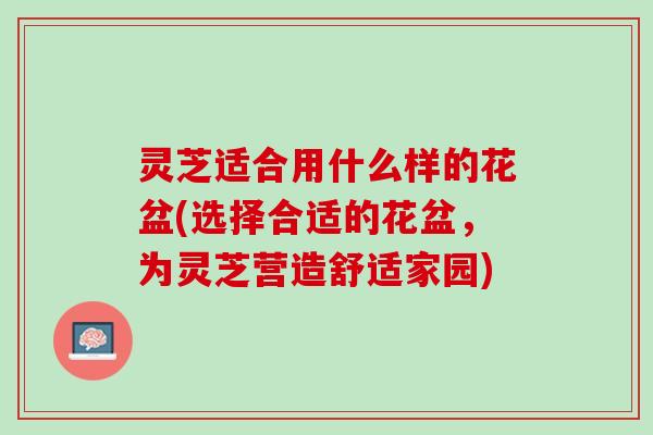 灵芝适合用什么样的花盆(选择合适的花盆，为灵芝营造舒适家园)