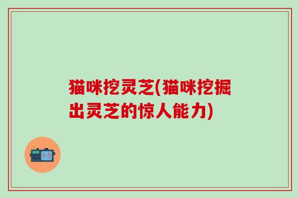 猫咪挖灵芝(猫咪挖掘出灵芝的惊人能力)