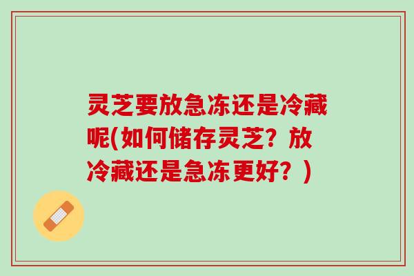 灵芝要放急冻还是冷藏呢(如何储存灵芝？放冷藏还是急冻更好？)