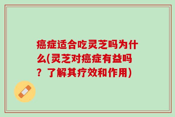 癌症适合吃灵芝吗为什么(灵芝对癌症有益吗？了解其疗效和作用)