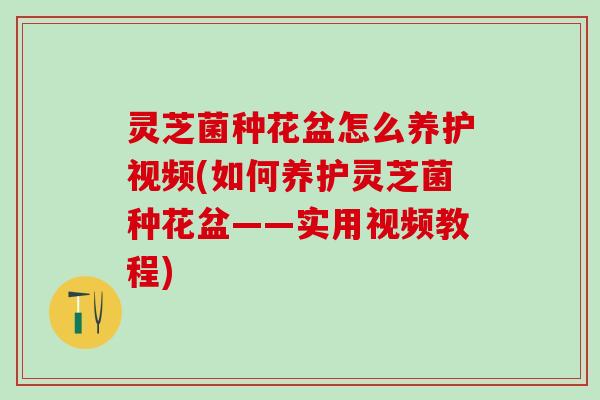 灵芝菌种花盆怎么养护视频(如何养护灵芝菌种花盆——实用视频教程)