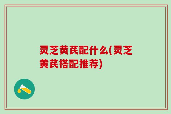 灵芝黄芪配什么(灵芝黄芪搭配推荐)