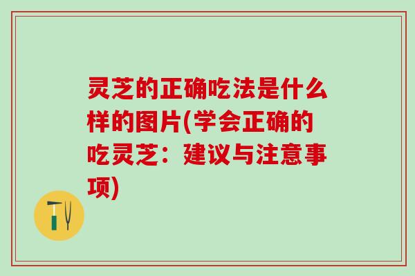 灵芝的正确吃法是什么样的图片(学会正确的吃灵芝：建议与注意事项)