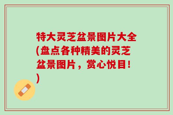 特大灵芝盆景图片大全(盘点各种精美的灵芝盆景图片，赏心悦目！)