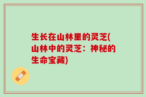 生长在山林里的灵芝(山林中的灵芝：神秘的生命宝藏)