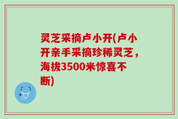 灵芝采摘卢小开(卢小开亲手采摘珍稀灵芝，海拔3500米惊喜不断)