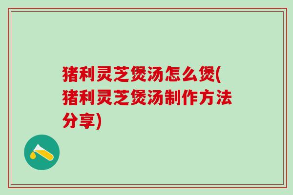 猪利灵芝煲汤怎么煲(猪利灵芝煲汤制作方法分享)