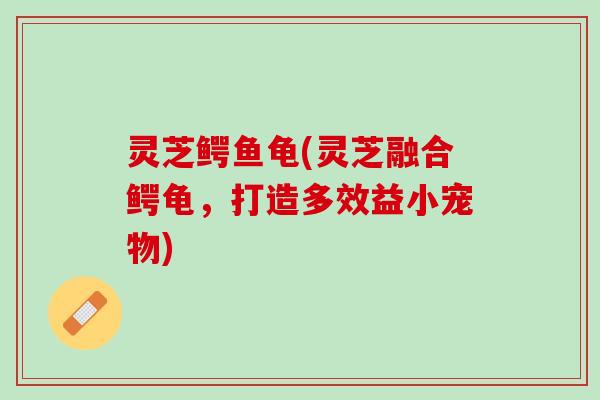 灵芝鳄鱼龟(灵芝融合鳄龟，打造多效益小宠物)