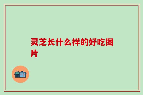 灵芝长什么样的好吃图片