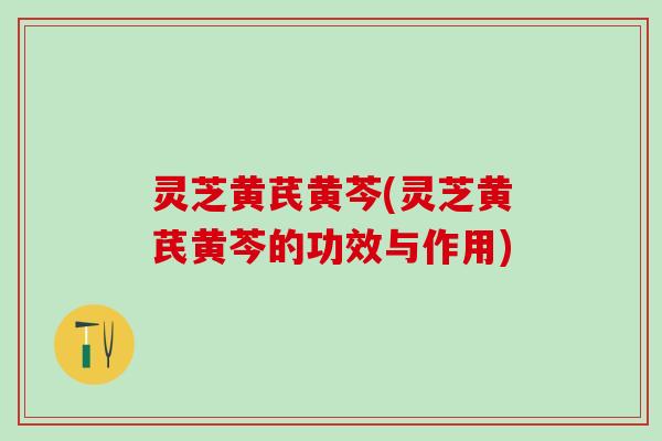 灵芝黄芪黄芩(灵芝黄芪黄芩的功效与作用)