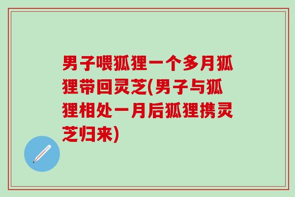 男子喂狐狸一个多月狐狸带回灵芝(男子与狐狸相处一月后狐狸携灵芝归来)