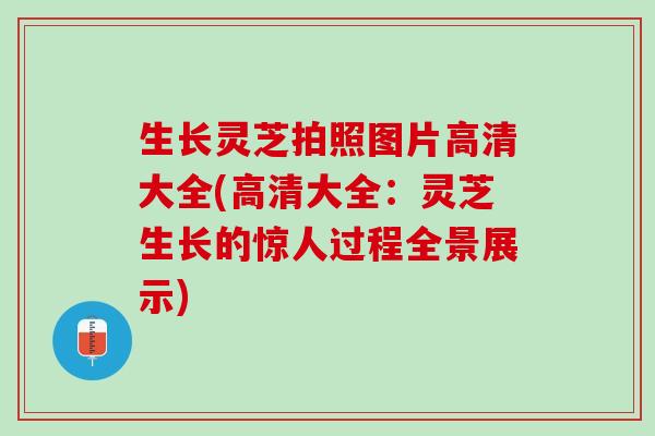 生长灵芝拍照图片高清大全(高清大全：灵芝生长的惊人过程全景展示)