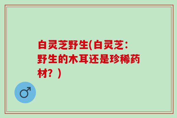 白灵芝野生(白灵芝：野生的木耳还是珍稀药材？)