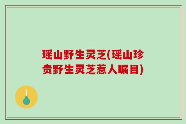 瑶山野生灵芝(瑶山珍贵野生灵芝惹人瞩目)