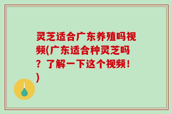 灵芝适合广东养殖吗视频(广东适合种灵芝吗？了解一下这个视频！)