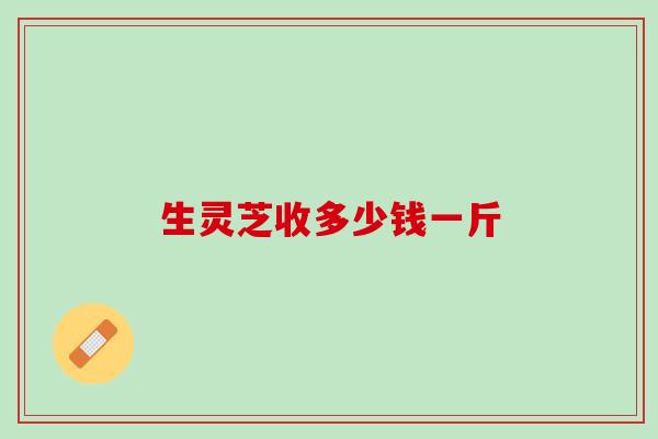 生灵芝收多少钱一斤