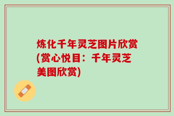 炼化千年灵芝图片欣赏(赏心悦目：千年灵芝美图欣赏)