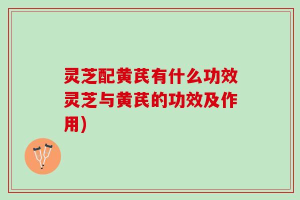 灵芝配黄芪有什么功效灵芝与黄芪的功效及作用)