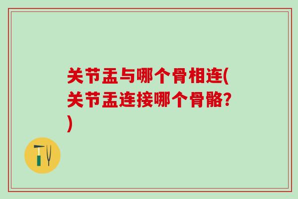 关节盂与哪个骨相连(关节盂连接哪个骨骼？)
