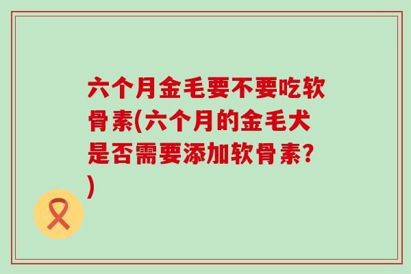 六个月金毛要不要吃软骨素(六个月的金毛犬是否需要添加软骨素？)