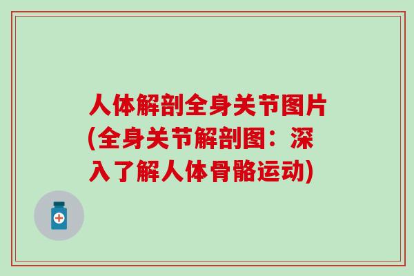 人体解剖全身关节图片(全身关节解剖图：深入了解人体骨骼运动)