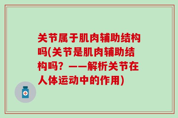 关节属于肌肉辅助结构吗(关节是肌肉辅助结构吗？——解析关节在人体运动中的作用)