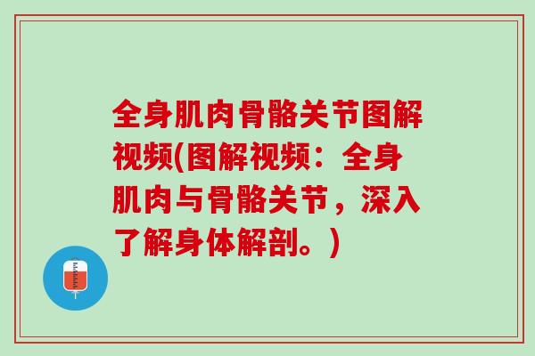 全身肌肉骨骼关节图解视频(图解视频：全身肌肉与骨骼关节，深入了解身体解剖。)