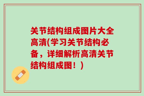 关节结构组成图片大全高清(学习关节结构必备,详细解析高清关节结构组成图!) 关节结构组成图片大全高清(学习关节结构必备,详细解析高清关节结构组成图!)