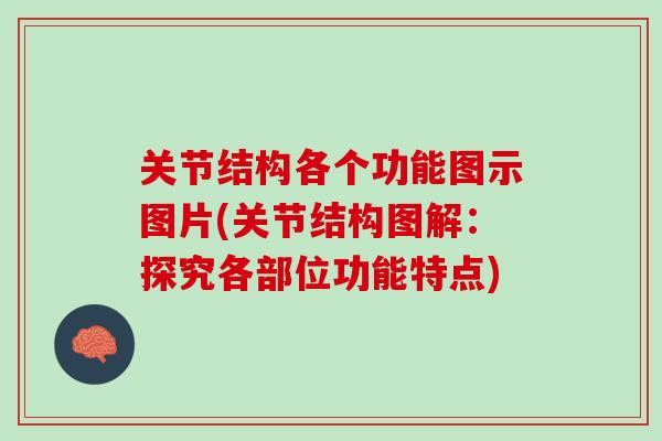 关节结构各个功能图示图片(关节结构图解：探究各部位功能特点)