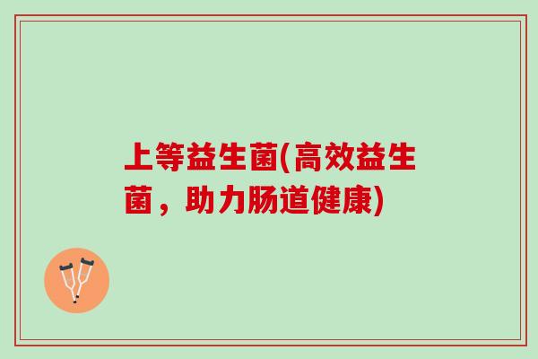 上等益生菌(高效益生菌，助力肠道健康)