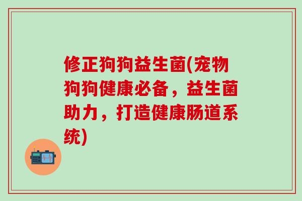 修正狗狗益生菌(宠物狗狗健康必备，益生菌助力，打造健康肠道系统)