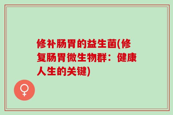 修补肠胃的益生菌(修复肠胃微生物群：健康人生的关键)