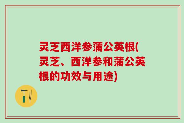 灵芝西洋参蒲公英根(灵芝、西洋参和蒲公英根的功效与用途)